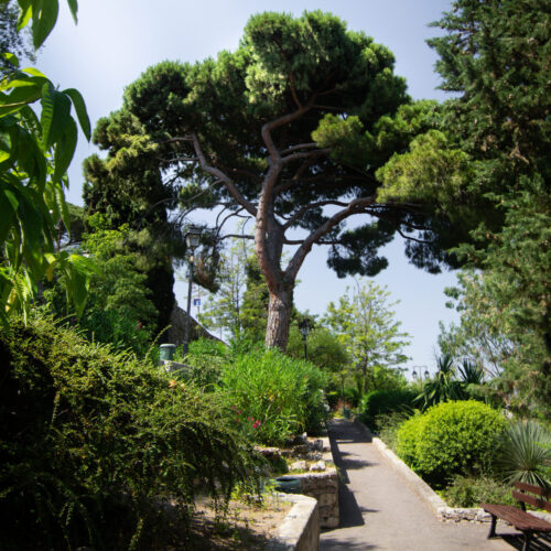 Cannes_Le_Suquet_06