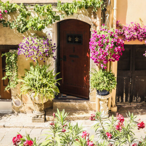 Cannes_Le_Suquet_07