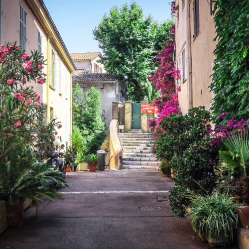 Cannes_Le_Suquet_10