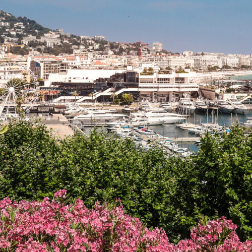Cannes_Le_Suquet_18