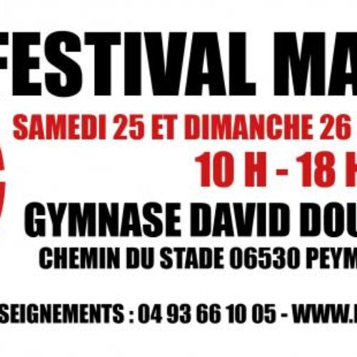 Festival_Manga_Peymeinade_Text
