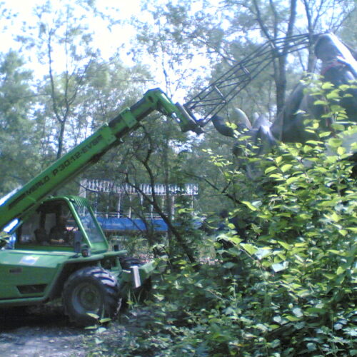 Image(197)