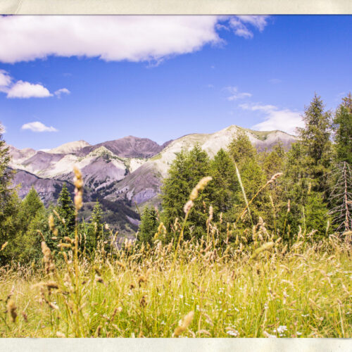 _MONTAGNE_12